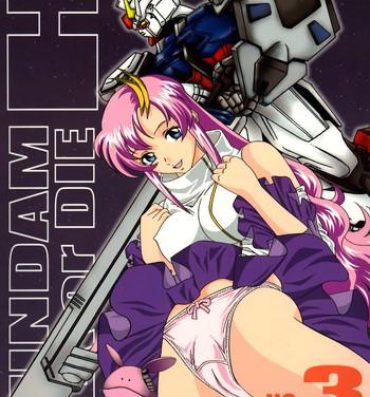 Naked Women Fucking Gundam-H 3- Gundam seed hentai French Porn